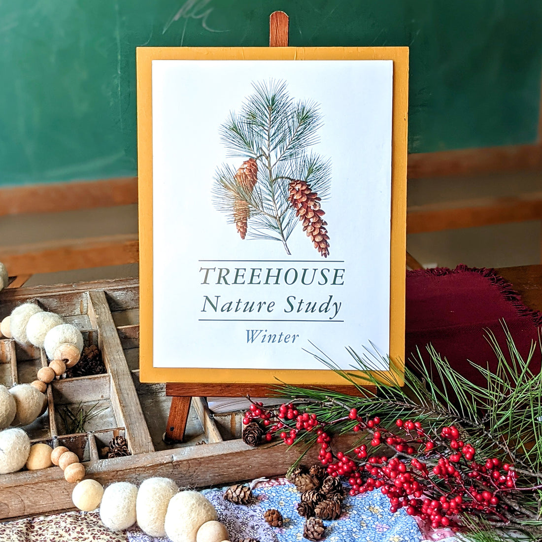 Treehouse Nature Study: Winter, Primary Years