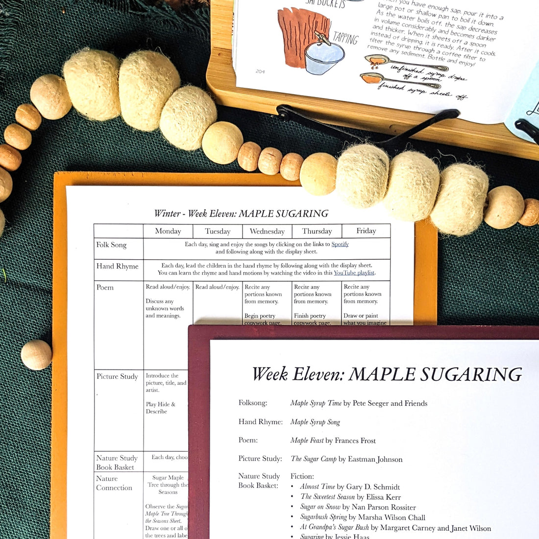 Treehouse Nature Study: Winter, Primary Years
